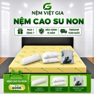 Nệm Cao Su Non Việt Gia