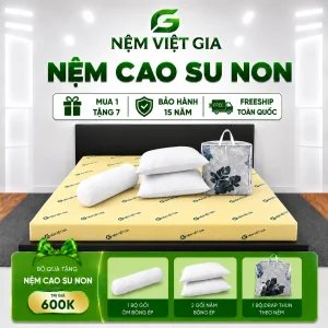 Nệm Cao Su Non Việt Gia Chính Hãng