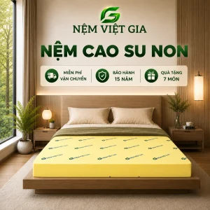 Nệm Cao Su Non Việt Gia