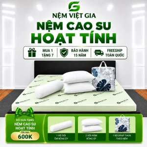 Nệm Cao Su Non Hoạt Tính Việt Gia Chính Hãng