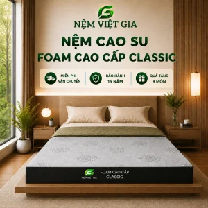 Nêm Cao Su Foam Cao Cấp Classic Việt Gia