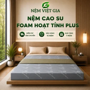 Nệm Cao Su Foam Hoạt Tính Plus Việt Gia