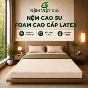 Nệm Cao Su Foam Latex Việt Gia